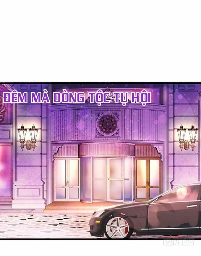 Hắc Đạo Đáng Yêu Chapter 2 - 58