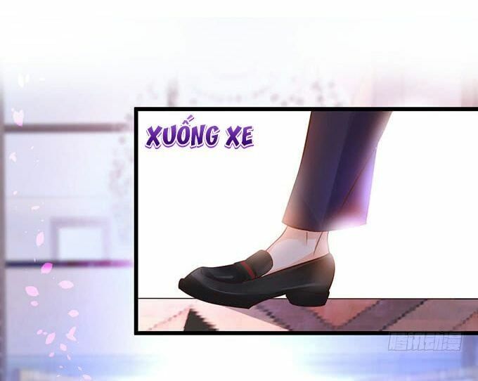 Hắc Đạo Đáng Yêu Chapter 2 - 59