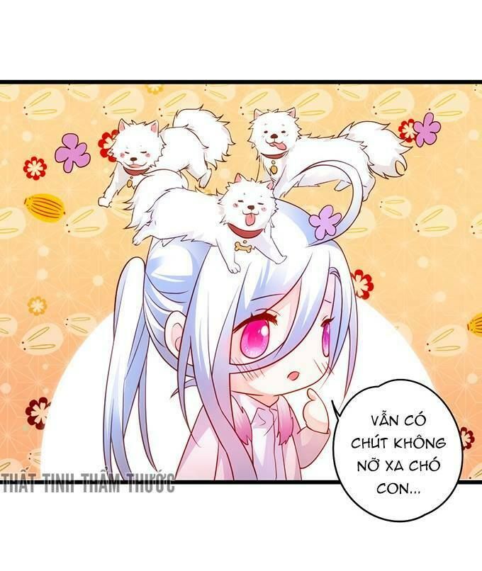 Hắc Đạo Đáng Yêu Chapter 20 - 39