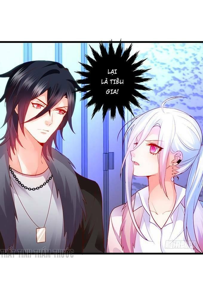 Hắc Đạo Đáng Yêu Chapter 20 - 62