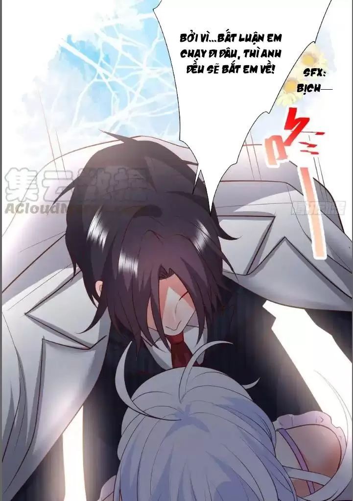 Hắc Đạo Đáng Yêu Chapter 209 - 28