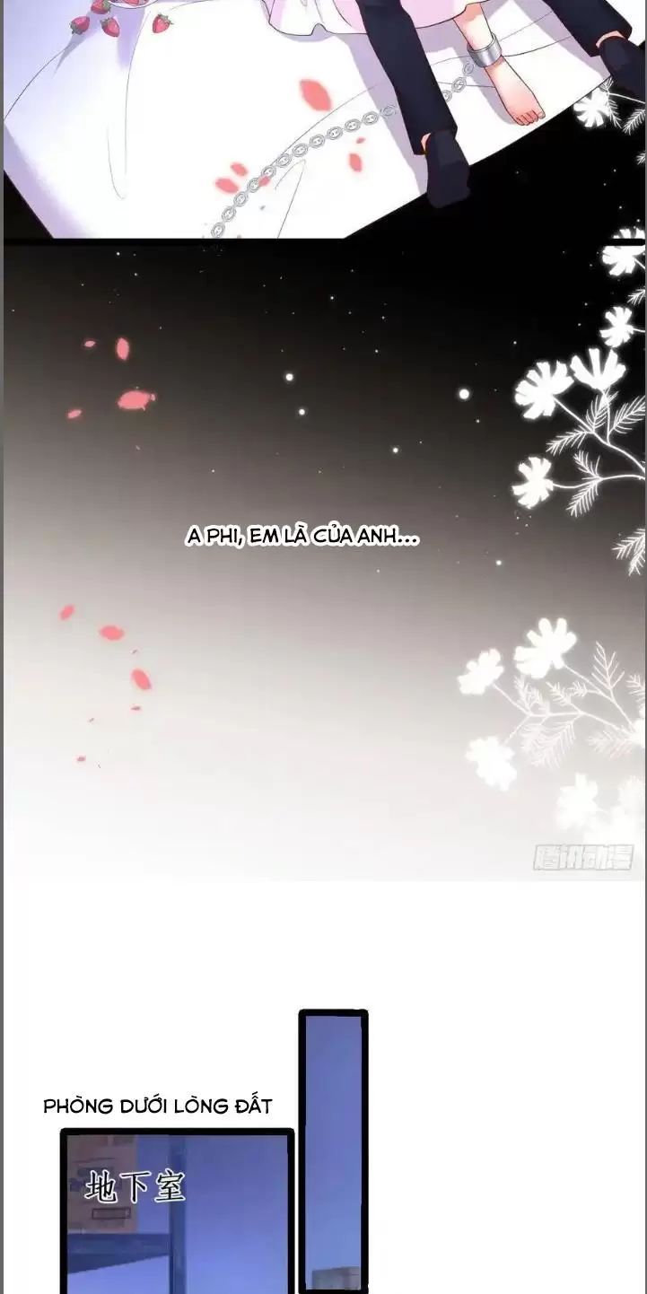 Hắc Đạo Đáng Yêu Chapter 209 - 32