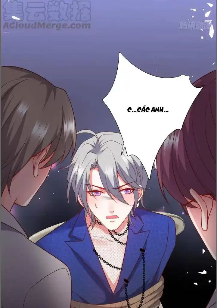 Hắc Đạo Đáng Yêu Chapter 209 - 39