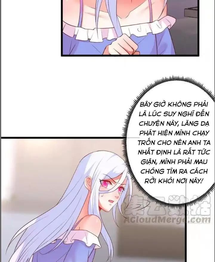 Hắc Đạo Đáng Yêu Chapter 209 - 9