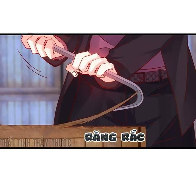 Hắc Đạo Đáng Yêu Chapter 21 - 31