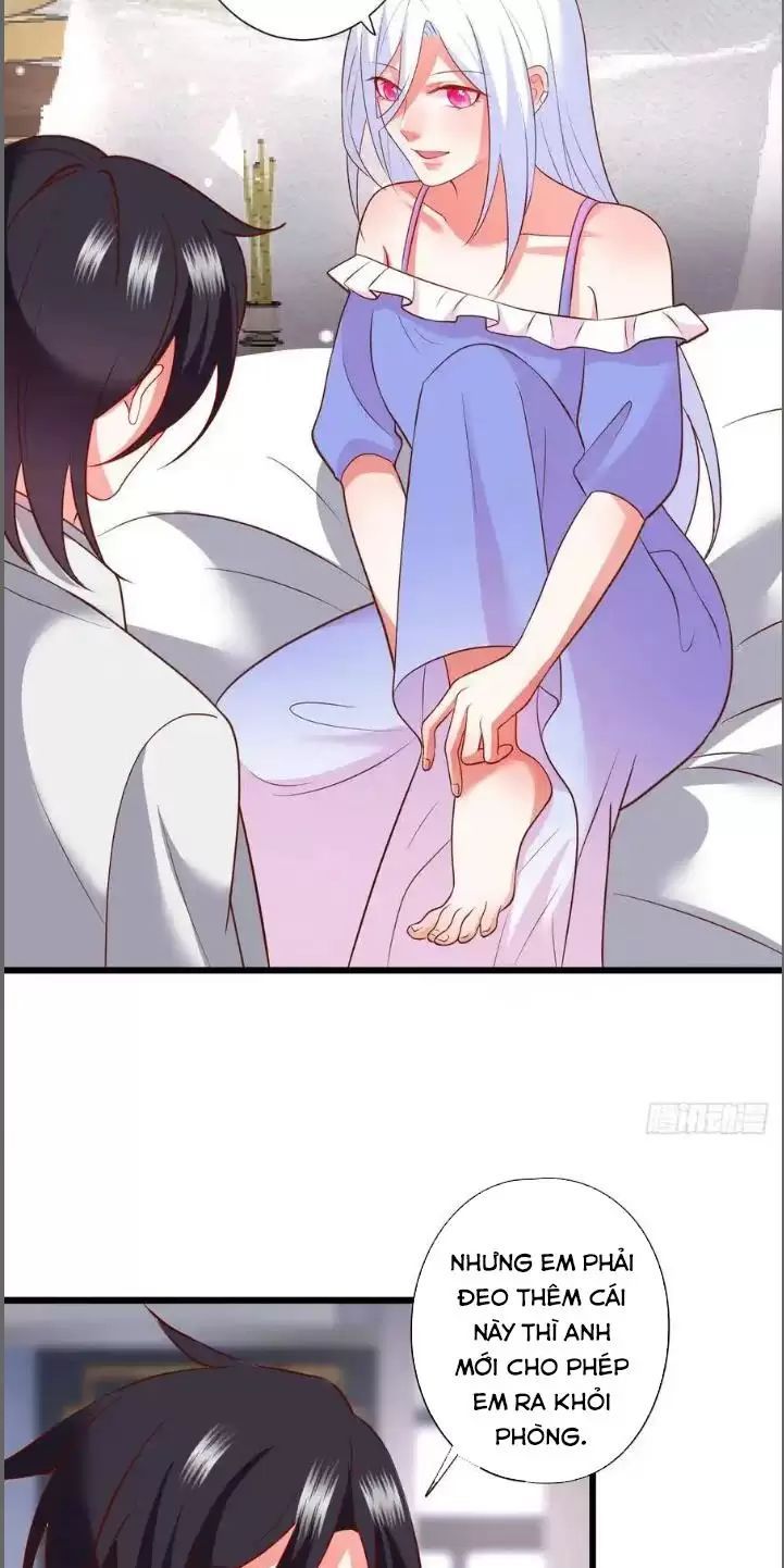 Hắc Đạo Đáng Yêu Chapter 210 - 11
