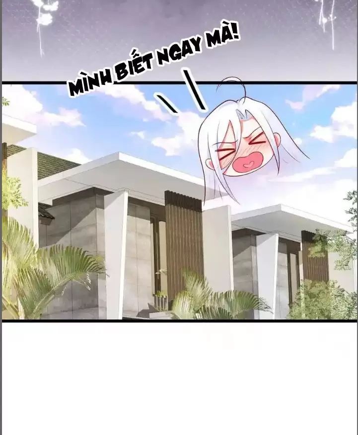 Hắc Đạo Đáng Yêu Chapter 210 - 19