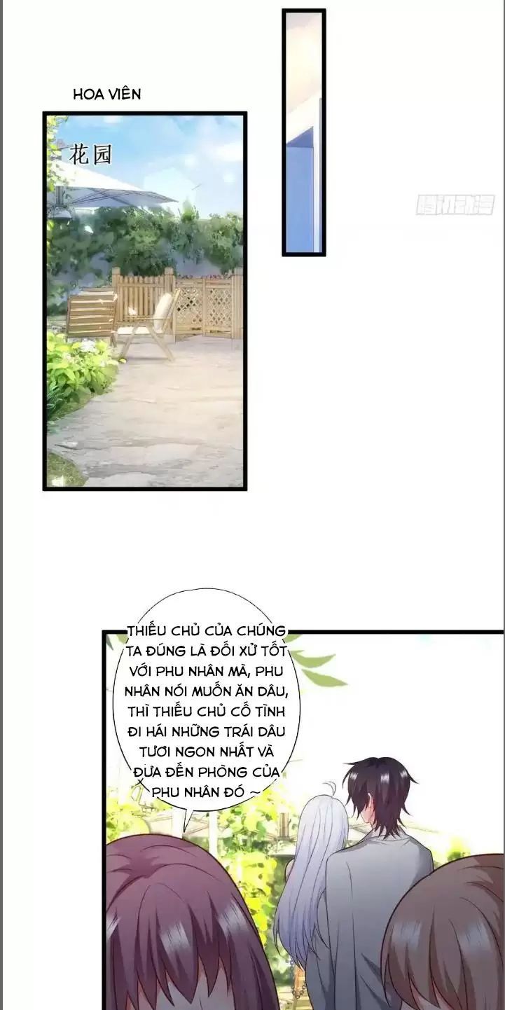 Hắc Đạo Đáng Yêu Chapter 210 - 20