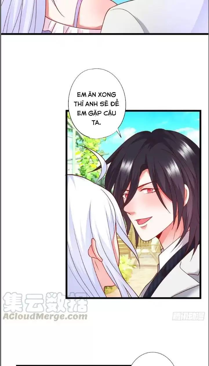 Hắc Đạo Đáng Yêu Chapter 210 - 36