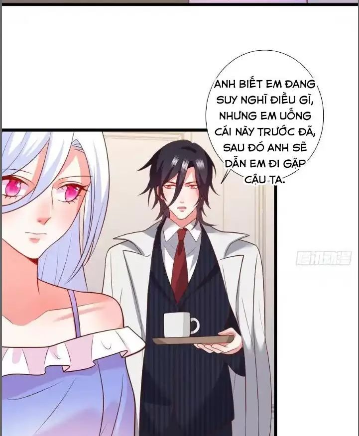 Hắc Đạo Đáng Yêu Chapter 210 - 7