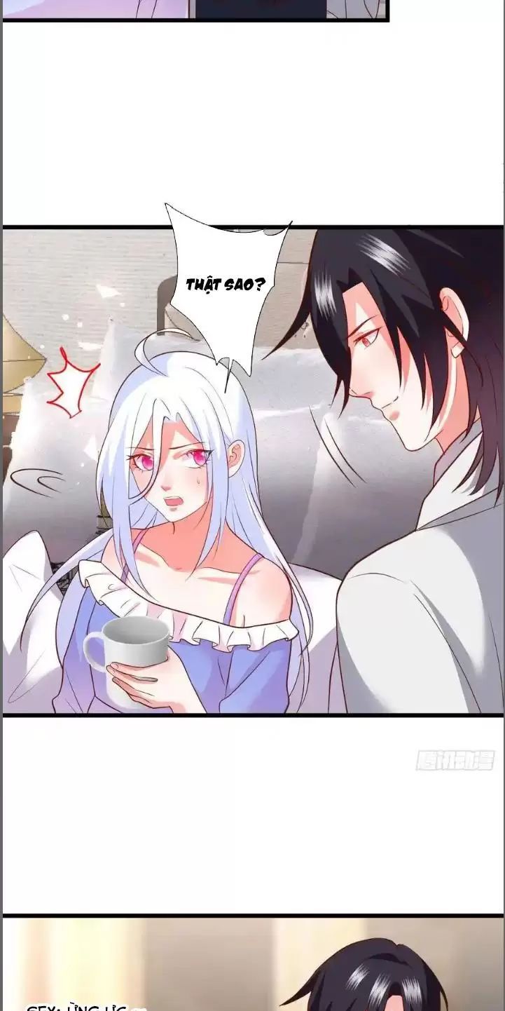 Hắc Đạo Đáng Yêu Chapter 210 - 8