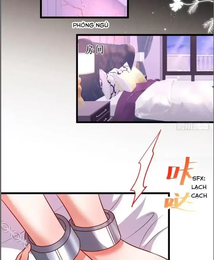 Hắc Đạo Đáng Yêu Chapter 211 - 25