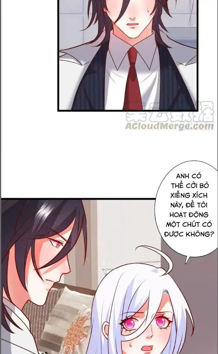 Hắc Đạo Đáng Yêu Chapter 211 - 34