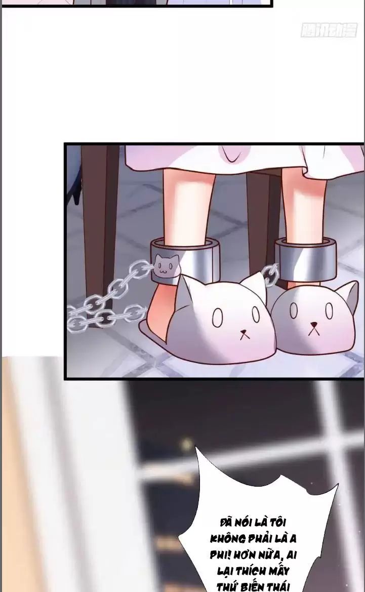 Hắc Đạo Đáng Yêu Chapter 211 - 36