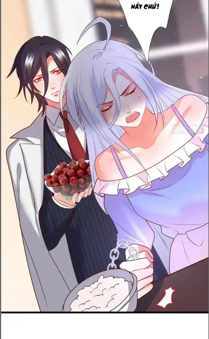 Hắc Đạo Đáng Yêu Chapter 211 - 37