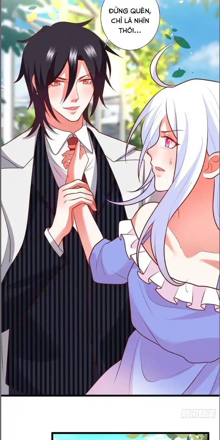 Hắc Đạo Đáng Yêu Chapter 211 - 5