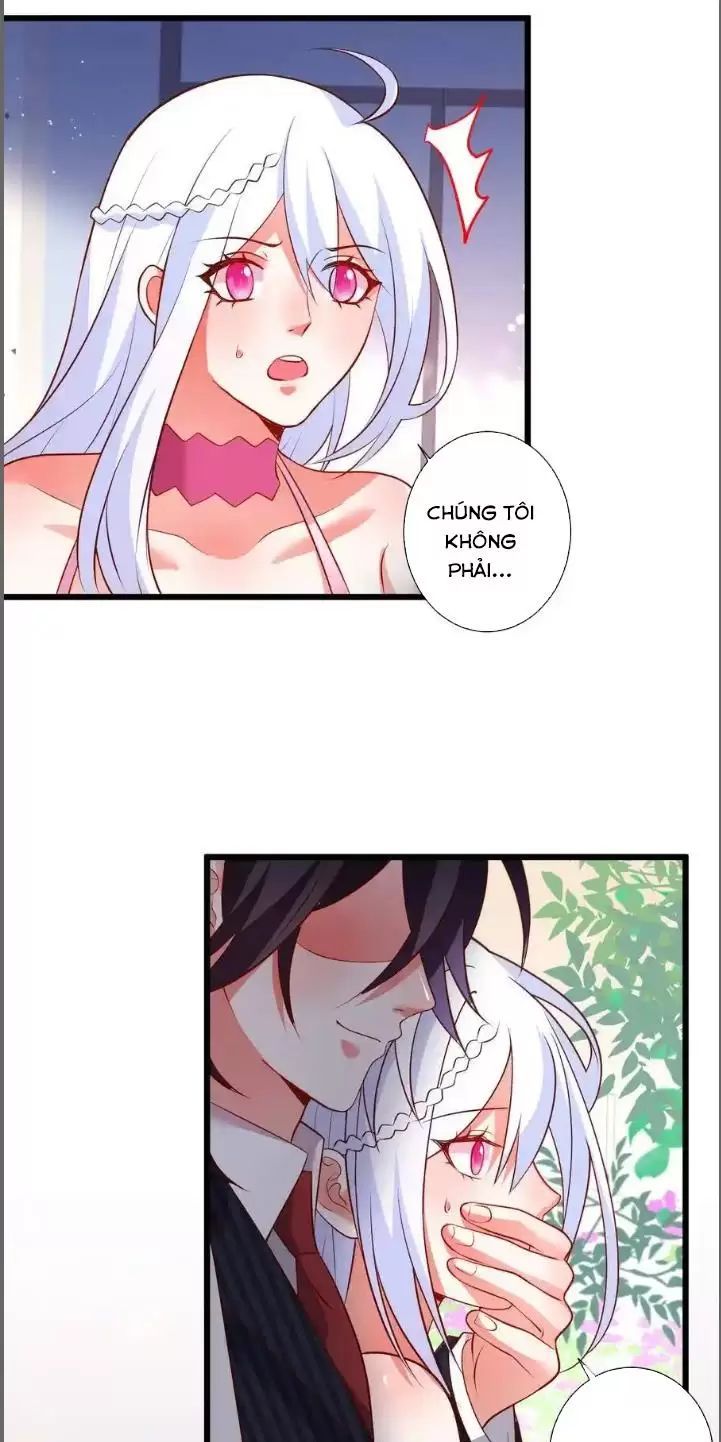 Hắc Đạo Đáng Yêu Chapter 212 - 14