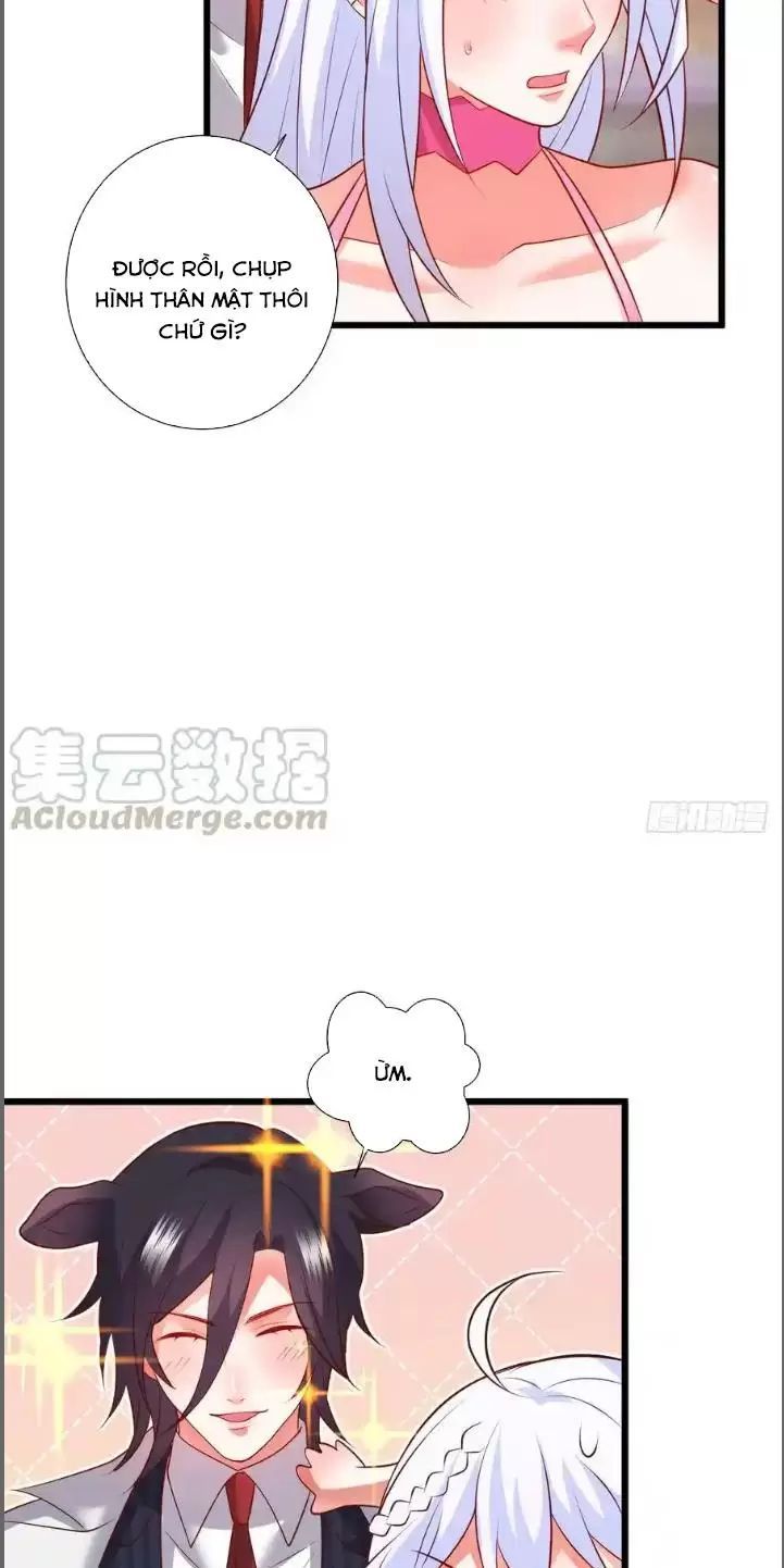 Hắc Đạo Đáng Yêu Chapter 212 - 17