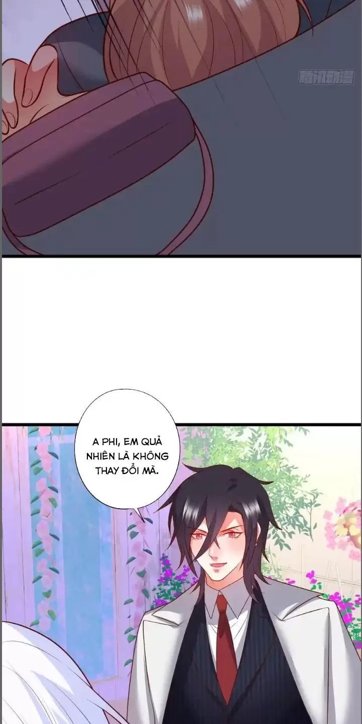Hắc Đạo Đáng Yêu Chapter 212 - 41