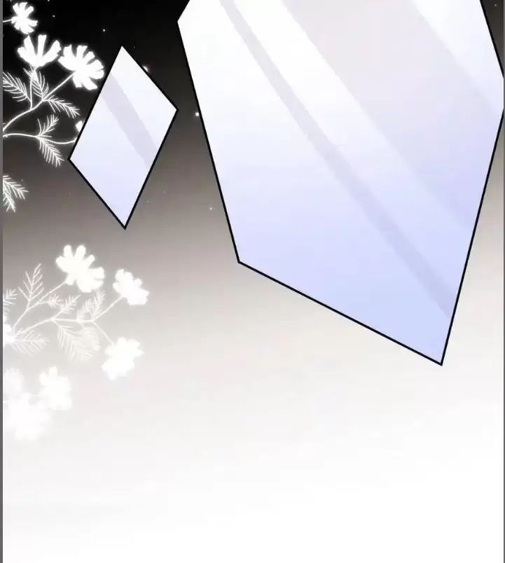 Hắc Đạo Đáng Yêu Chapter 212 - 46