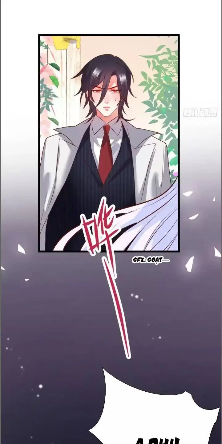 Hắc Đạo Đáng Yêu Chapter 212 - 47