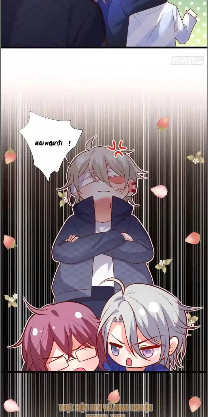 Hắc Đạo Đáng Yêu Chapter 213 - 17