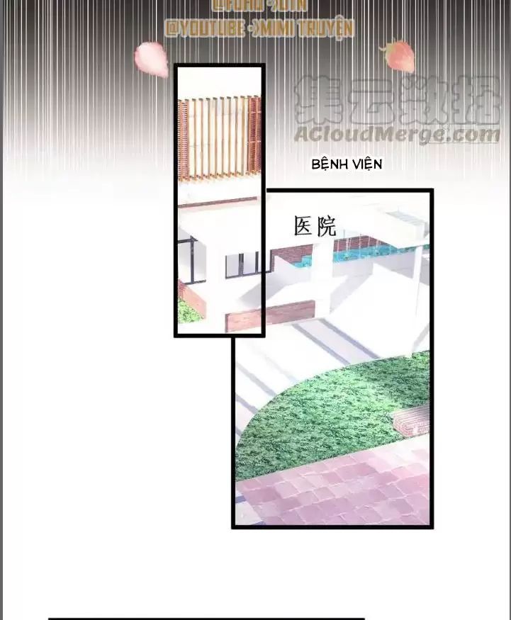 Hắc Đạo Đáng Yêu Chapter 213 - 18