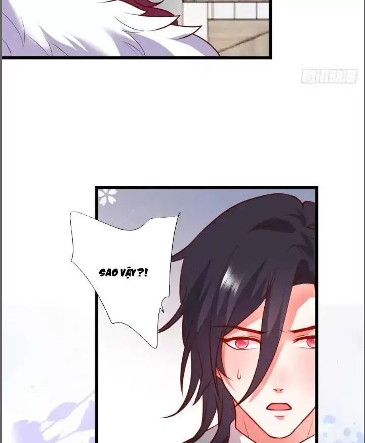 Hắc Đạo Đáng Yêu Chapter 213 - 22
