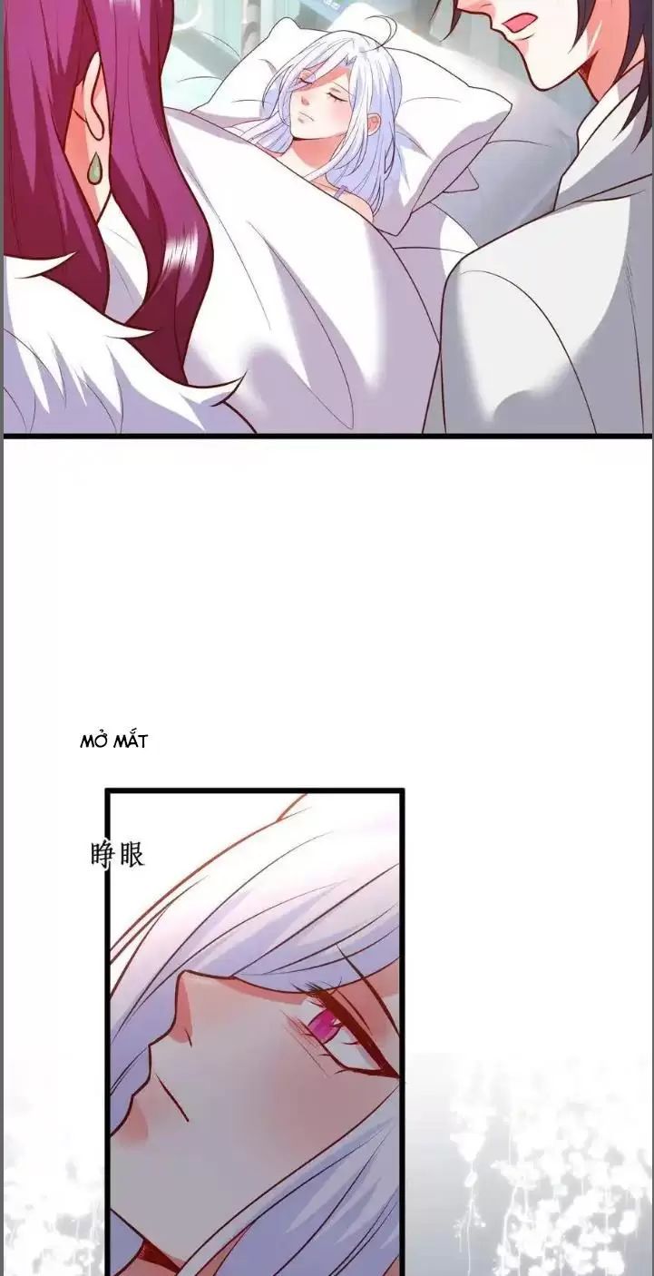 Hắc Đạo Đáng Yêu Chapter 213 - 35