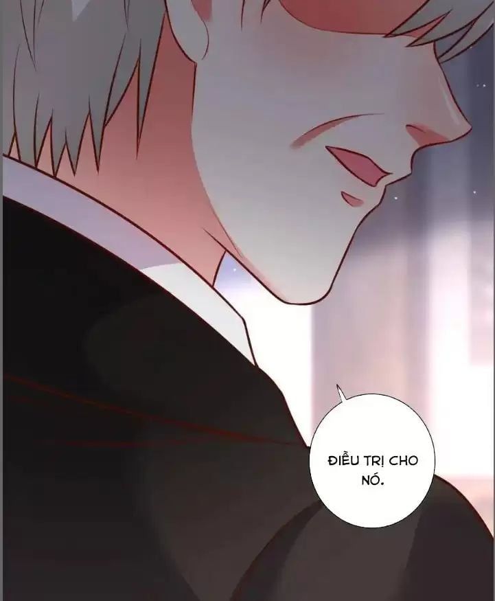 Hắc Đạo Đáng Yêu Chapter 213 - 6