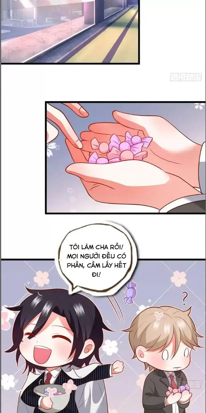 Hắc Đạo Đáng Yêu Chapter 214 - 14