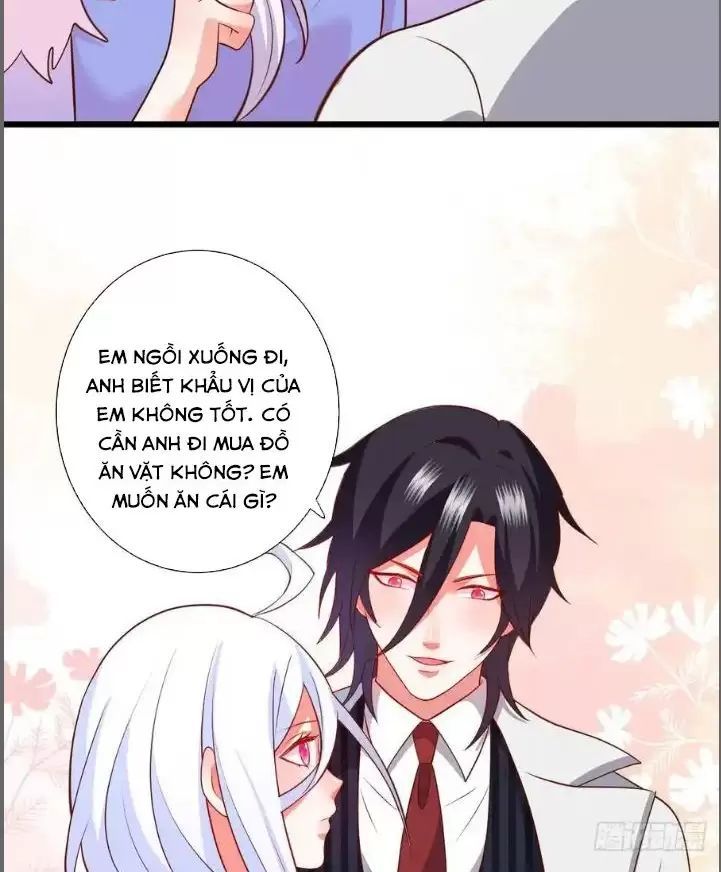 Hắc Đạo Đáng Yêu Chapter 214 - 24