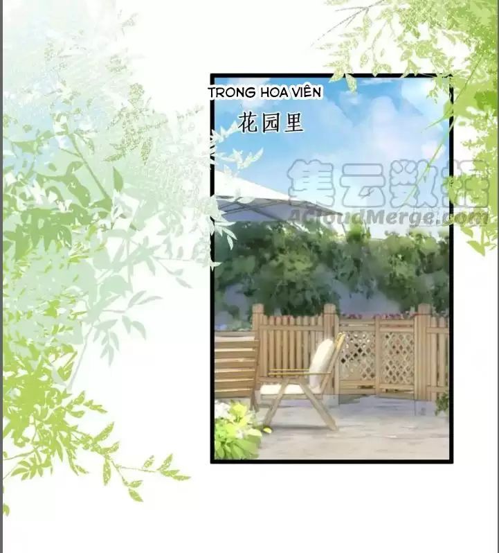 Hắc Đạo Đáng Yêu Chapter 214 - 28