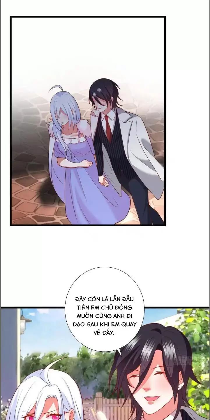 Hắc Đạo Đáng Yêu Chapter 214 - 29