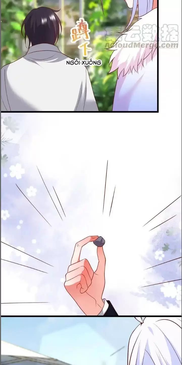 Hắc Đạo Đáng Yêu Chapter 214 - 35