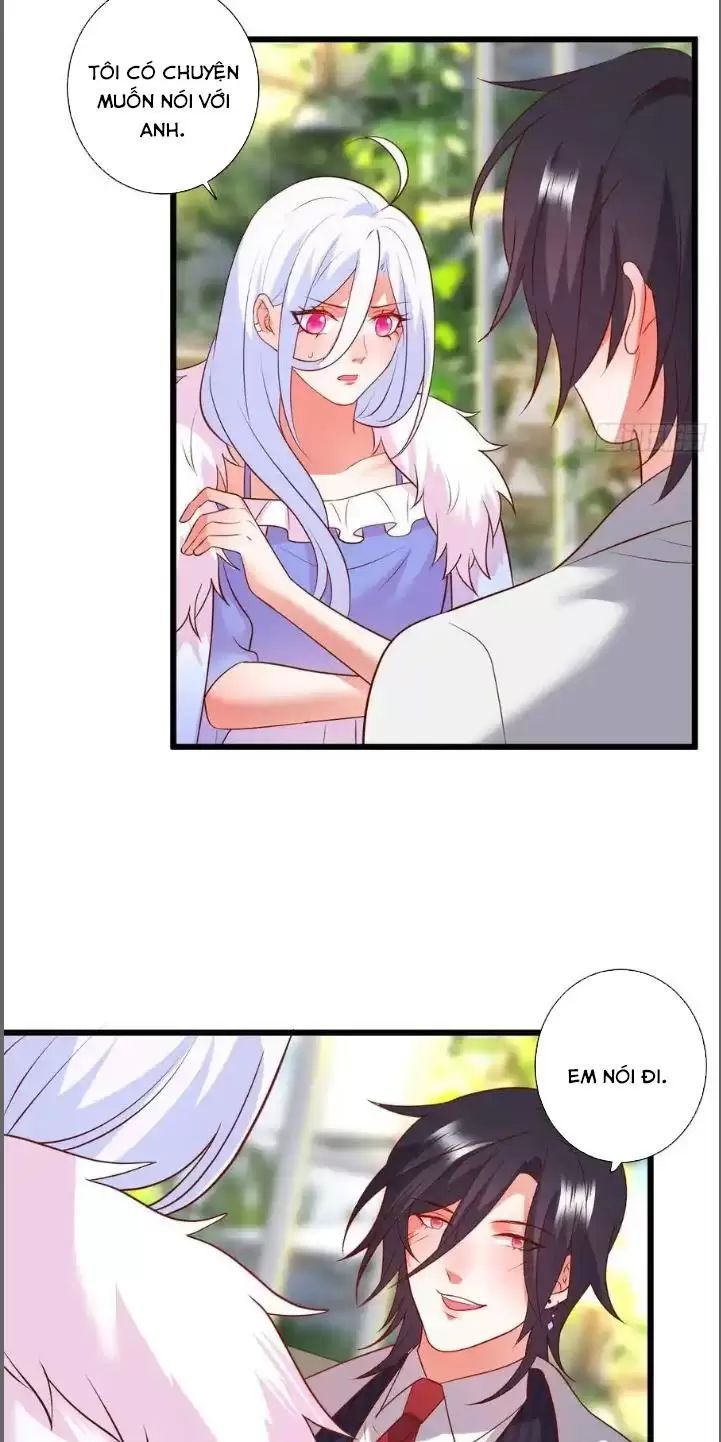 Hắc Đạo Đáng Yêu Chapter 214 - 44