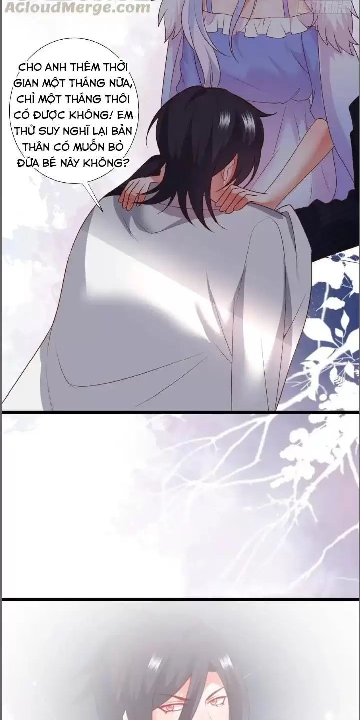 Hắc Đạo Đáng Yêu Chapter 215 - 11