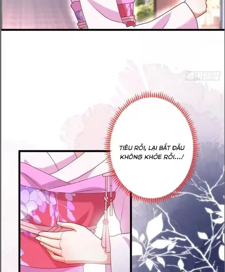 Hắc Đạo Đáng Yêu Chapter 216 - 13