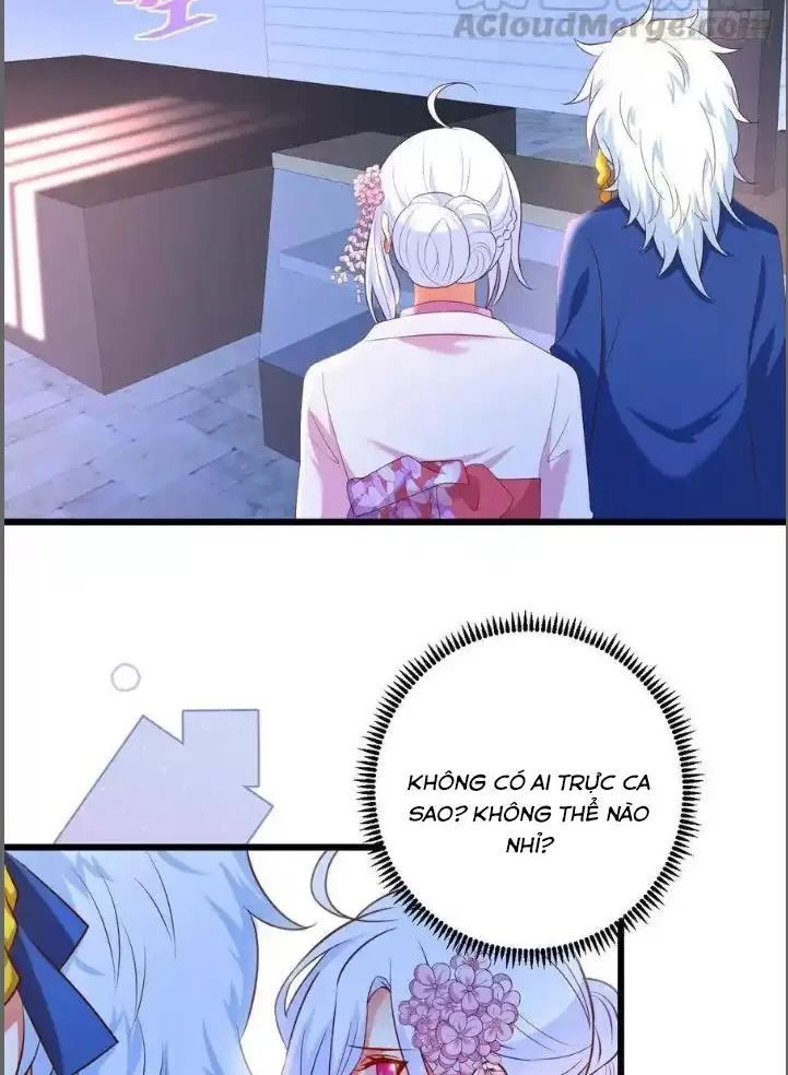 Hắc Đạo Đáng Yêu Chapter 216 - 34