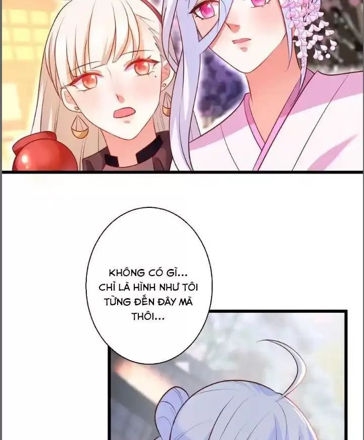 Hắc Đạo Đáng Yêu Chapter 216 - 6