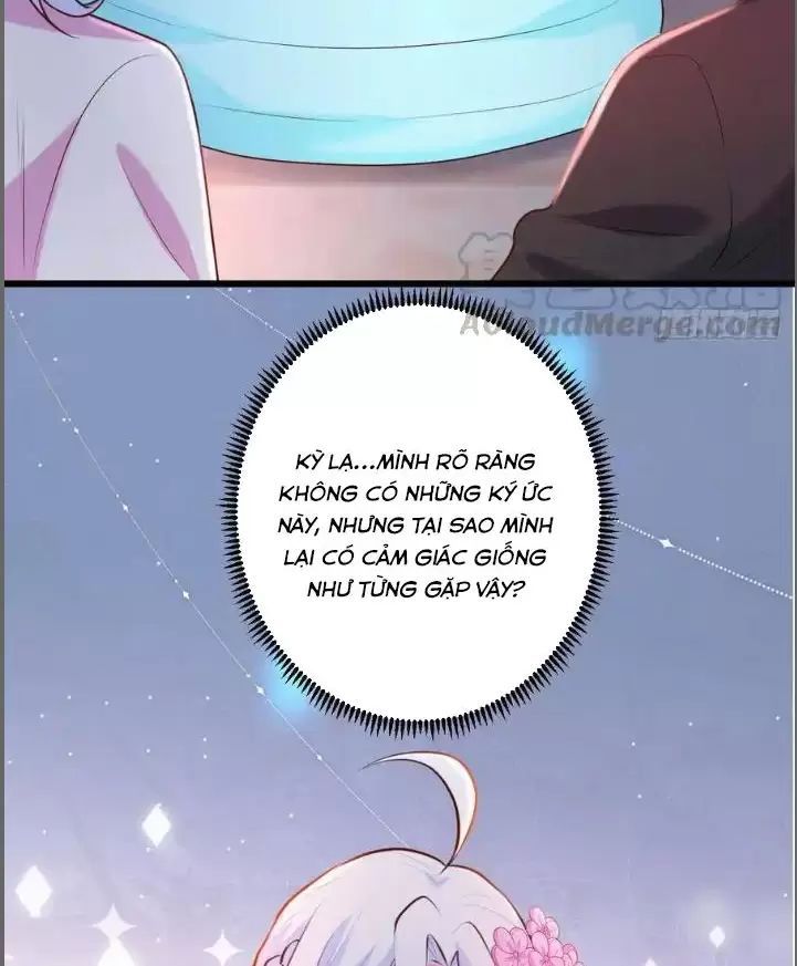 Hắc Đạo Đáng Yêu Chapter 216 - 10