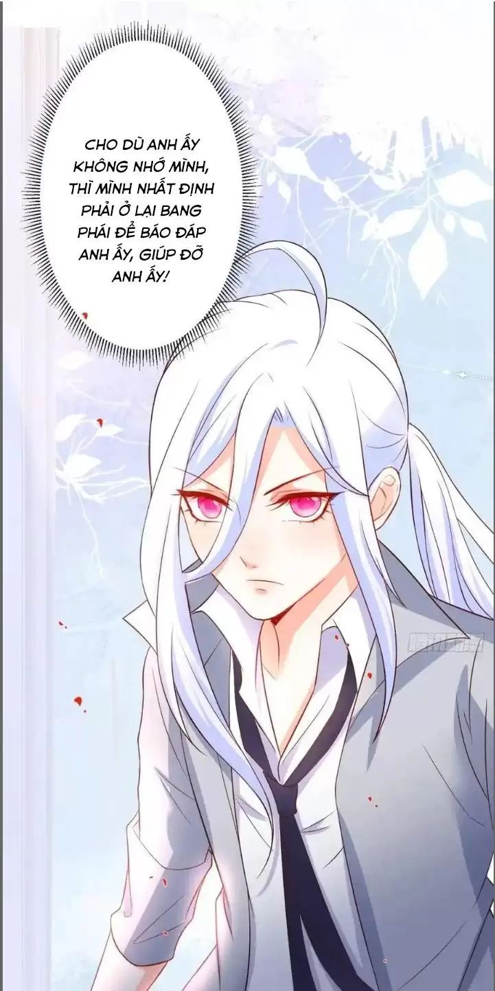 Hắc Đạo Đáng Yêu Chapter 231 - 11