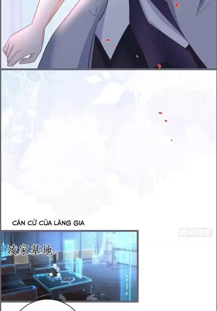 Hắc Đạo Đáng Yêu Chapter 231 - 12