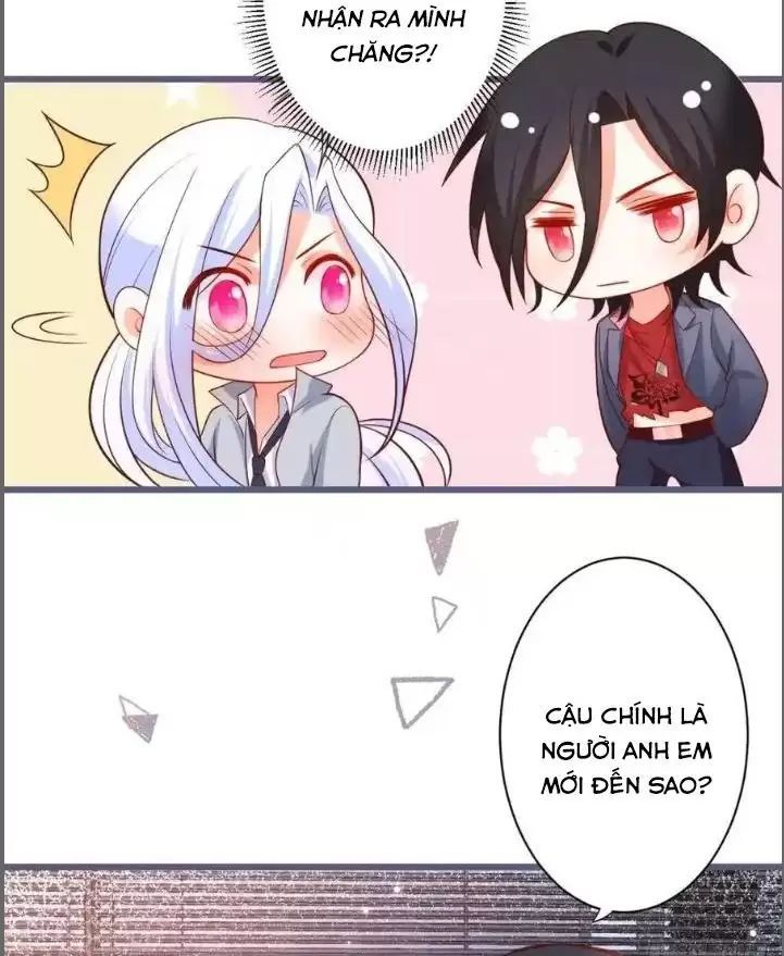 Hắc Đạo Đáng Yêu Chapter 231 - 19