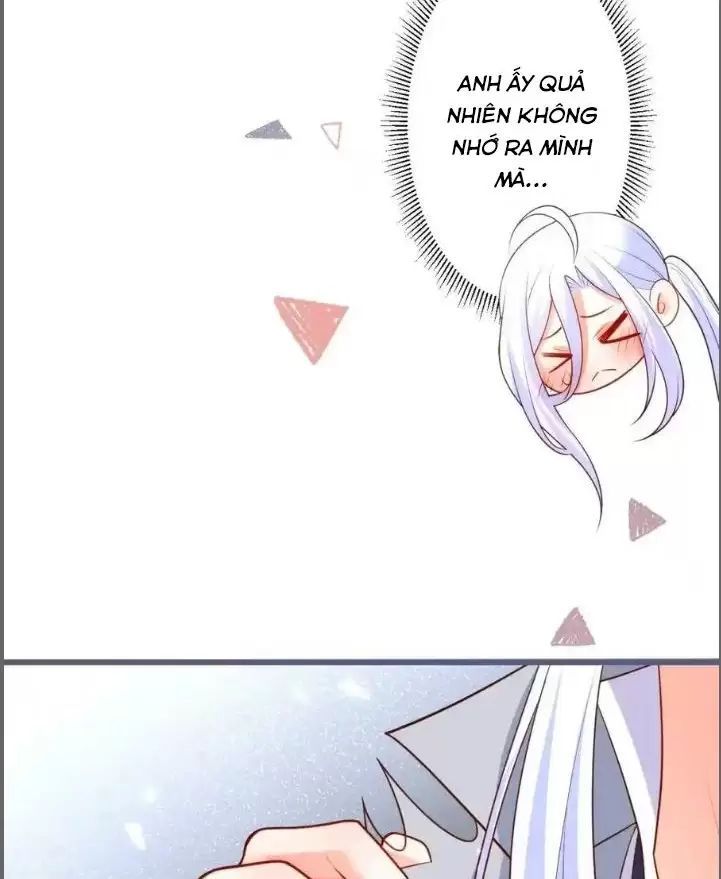 Hắc Đạo Đáng Yêu Chapter 231 - 21