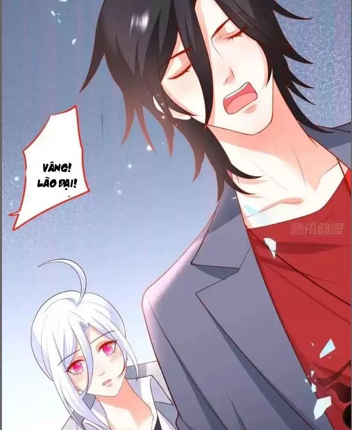 Hắc Đạo Đáng Yêu Chapter 231 - 24