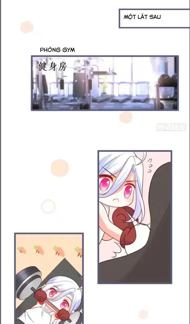 Hắc Đạo Đáng Yêu Chapter 231 - 29