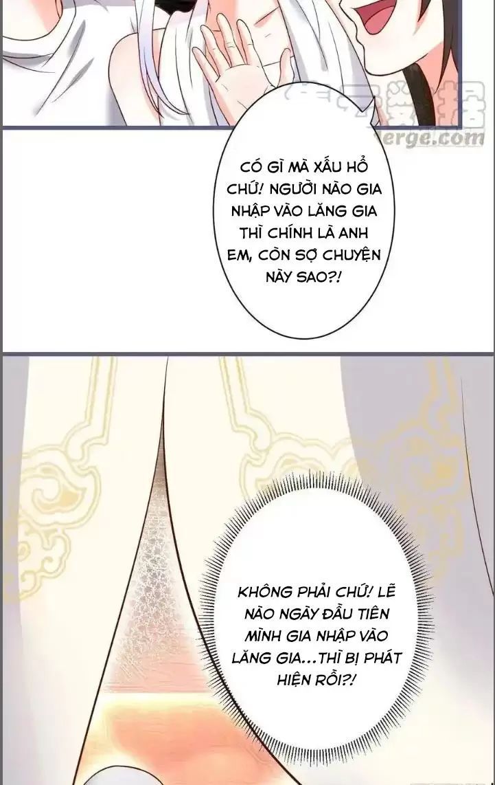 Hắc Đạo Đáng Yêu Chapter 231 - 36