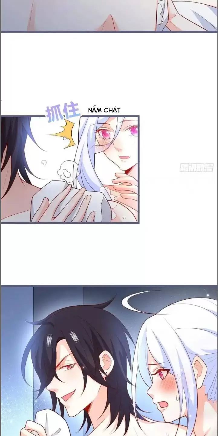 Hắc Đạo Đáng Yêu Chapter 232 - 19