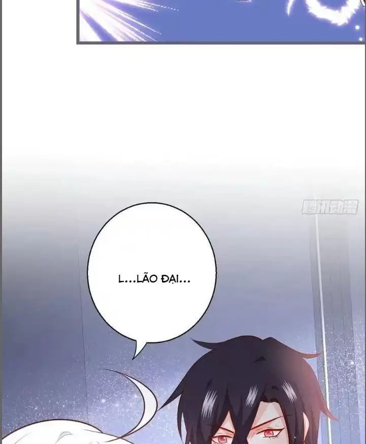 Hắc Đạo Đáng Yêu Chapter 232 - 6